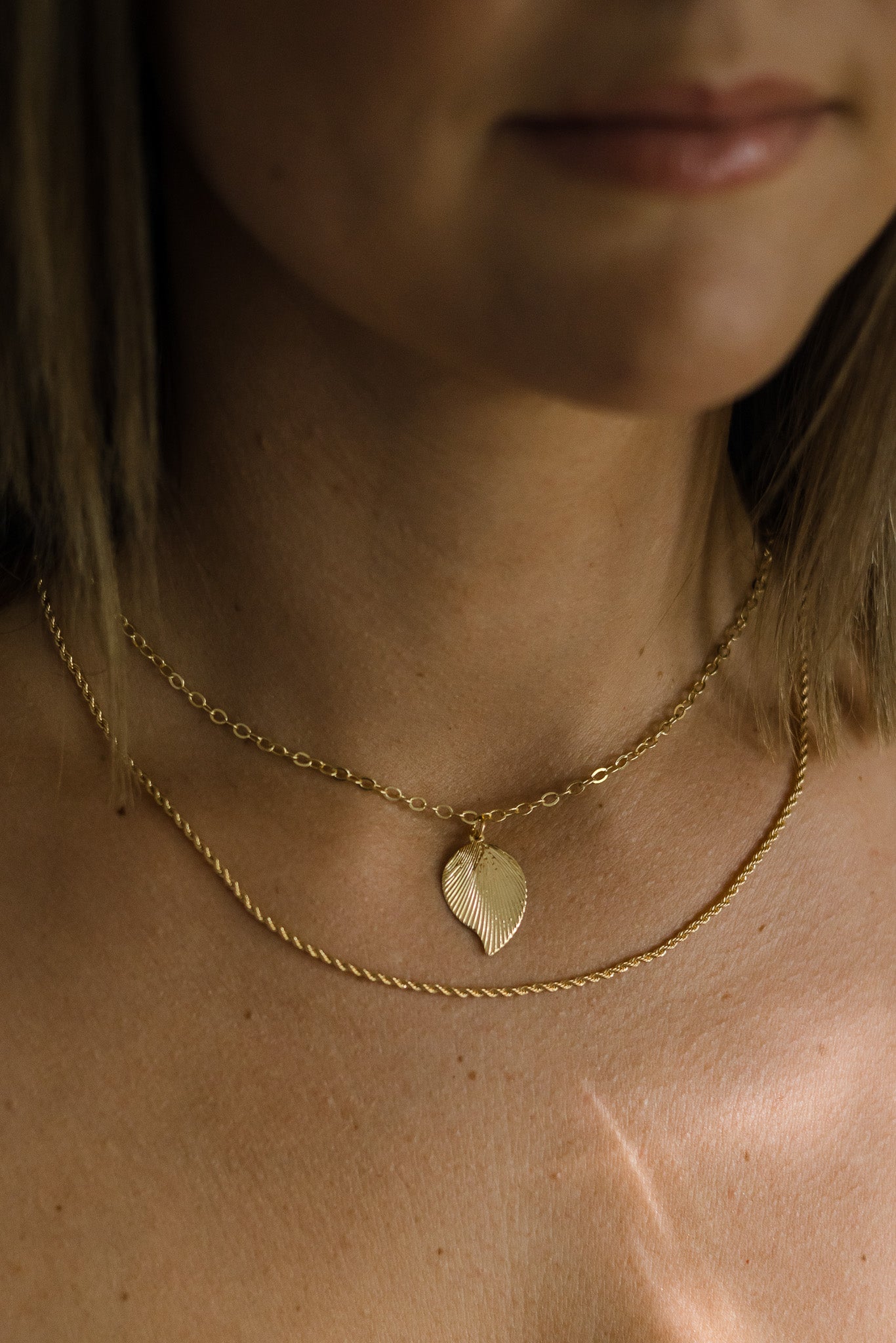 Alibi Chain
