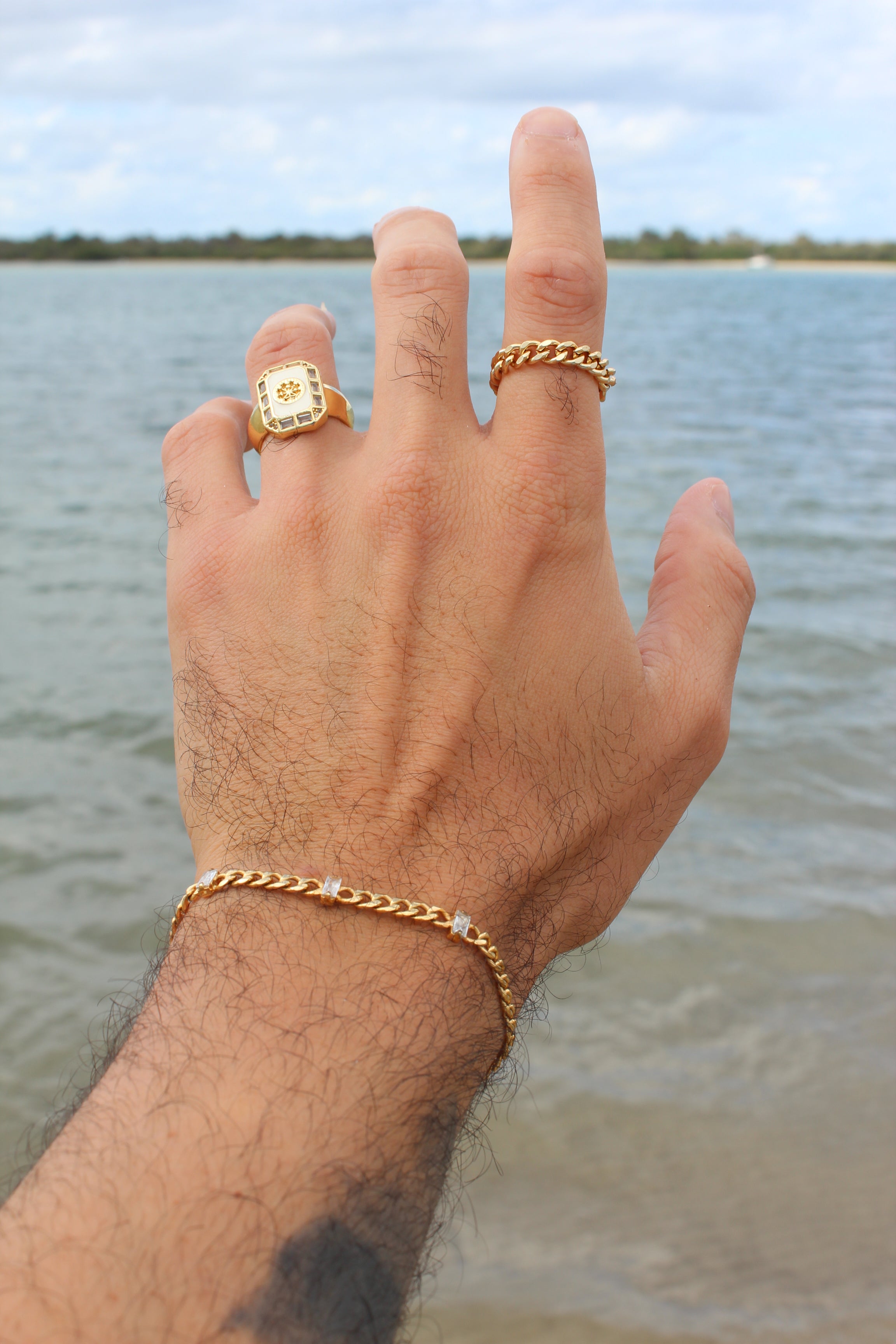 Leo Ring